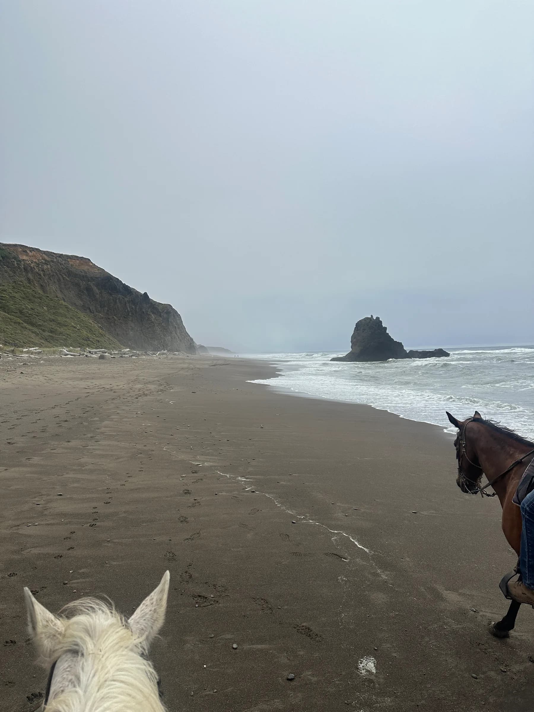 Sea Ranch